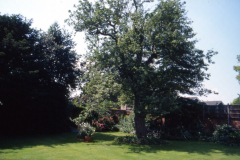 Aspley_Hall_-_Old_Farm_House_Eskdale_Drive_300_year_old_apple_tree_in_the_garden_1997.