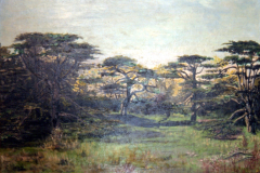 Aspley_Hall_-_The_Spinney_painting_after_Hall_demolished_but_before_estate_built_c1970.