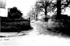 Aspley_Hall_-_driveway_c_1955