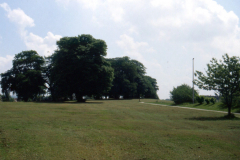 Basford_-_Basford_Hall_-_Remnants_of_its_park_in_the_grounds_of_Basford_College._1998_colour