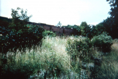 Basford_-_Basford_Hall_-_mill_leat_overgrown_1989_colour