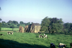 Beauvale_Priory_-_Distant_view_July_1973