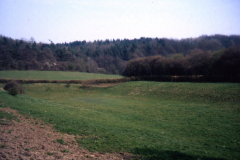 Beauvale_Priory_-_Fishpond_site_of_colour_1966