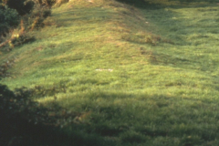 Beauvale_Priory_-_Greasley_Castle_remains_-_also_founded_by_Nicholas_de_Canteloupe