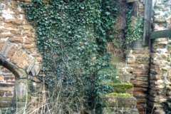 Beauvale_Priory_-_Priors_House_stairway_on_north_side_church_side.__Colour_1996