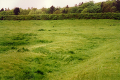 Beauvale_Priory_-_cloisters_north-west_section_of_site_cells_showing_in_close_cropped_grass._1996._Colour
