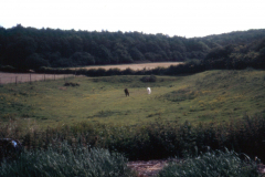 Beauvale_Priory_-_fishpond_site_1996._Colour