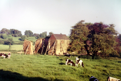 Beauvale_Priory_-_ruins_looking_south_1996._Colour