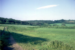 Beauvale_Priory_-_the_fishpond_July_1973