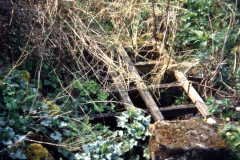 Beauvale_Priory_-_well