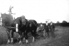 Broxtowe_-_Broxtowe_Hall_-_Farming_using_drought_horses_Walter_Bramley_holding_hay_rake_c_1930