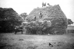 Broxtowe_-_Broxtowe_Hall_-_building_corn_stacks_in_the_1920s