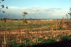 Broxtowe_-_view_north-east_from_522427_-_Horsendale_from_Broxtowe_1984.__Colour