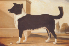 Byron_Family_-_Byrons_dog_Boatswain_memorial._Taken_December_1994