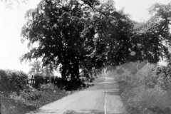 Cinderhill_-_Bells_Lane_c.1914