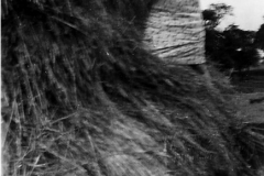 Farms_-_Assarts_Farm_Nuthall_Edith_Toulson_aged_17_in_haystack_1941