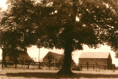 Farms_-_Assarts_Farm_Nuthall_from_the_north_1978