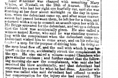 Assault_with_a_mop_Isaac_Wheeleker-_Mary_Whiles_1863_11th_September