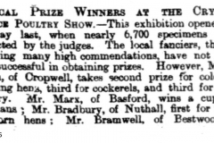 Crystal_Palace_poultry_Show_Mr_Albert_Curson_Bradbury_1886_19th_November