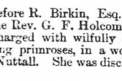 Damaging_the_underwood_Ann_Waltham-_Colonel_Holden_1862_25th_April