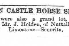 Horse_Show_John_Holden_1889_28th_September