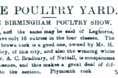 Poultry_Show_Birmingham_Mr_A.C._Bradbury_1884_5th_December