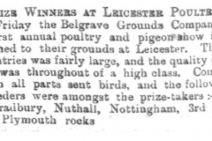 Poultry_Show_Leicester_Mr_Albert_Curson_Bradbury_1882_22nd_December