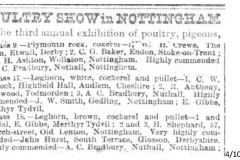 Poultry_Show_Nottingham_Mr_Albert_Curson_Bradbury_1883_4th_October