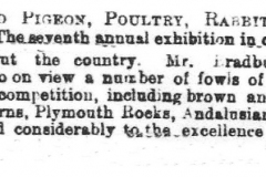 Poultry_Show_Pld_Basford_Mr_Albert_Curson_Bradbury_1880_2nd_January