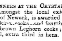 Pountry_Show_-_Crystal_Palace_Mr_Albert_Curson_Bradbury-_1882_24th_November