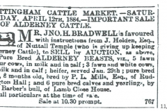 Sale_of_Holden_cattle_John_Holden_1884_11th_April