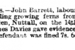 Stealing_Ferns_John_Barratt-_John_Holden_1889_22nd_June