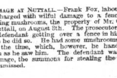 Stealing_mushrooms_Frank_Fox-_George_Truman_1890_20th_August