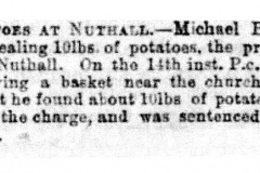 Stealing_potatoes_Michael_Brodwick-_John_Hallam-_Pc_Hornsey_1878_17th_October