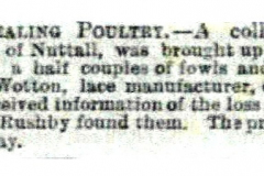 Theft_of_poultry_Thomas_Beardsmore_Mr_A._Wotton-_Pc_Grey_1883_26th_December