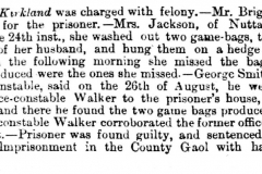 Theft_of_two_game_bags_Joseph_Kirkland-_Mrs_Jackson-_Pc_Walker_1863_4th_September