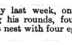 Woodcocks_nest_found_Mr_Shipley_gamekeeper_1861_28th_March