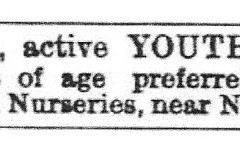 Youth_wanted_Mr_Richard_Edwards_1876_28th_April